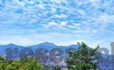91足球比分网-探秘91足球比分网，球迷的实时数据宝藏库